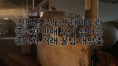 진도군 조도면 대마도리 중고차 판매 후기: 섬마을 중고차 거래, 꿀팁 대방출!