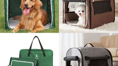 🐶 놓치면 후회! 5h펫 강아지 이동가방 솔직 후기 & 꿀팁 대방출! 🐾